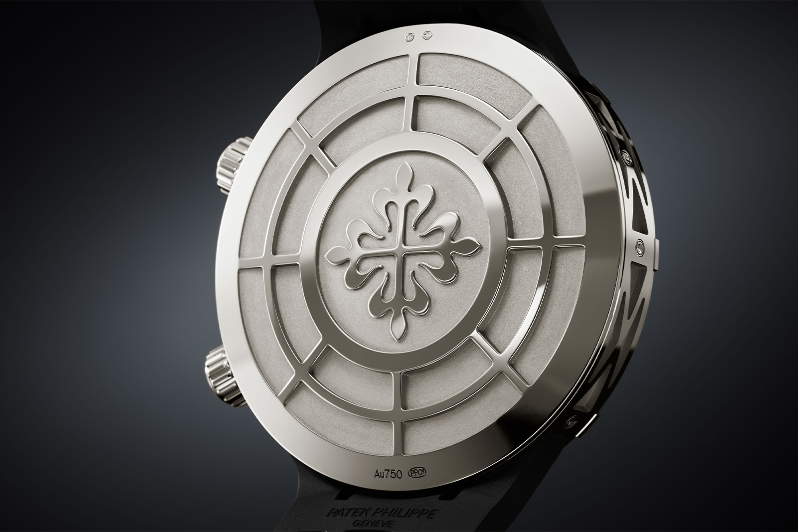 Patek Philippe Celestial Sunrise And Sunset 6105G — задняя сторона, корпус