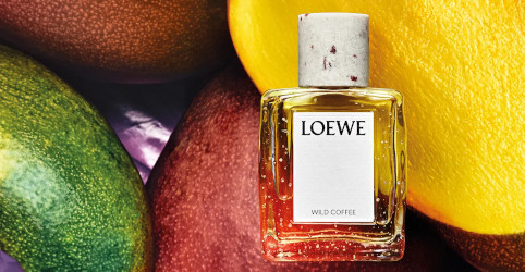 Loewe Wild Coffee ~ новый аромат — фото 2