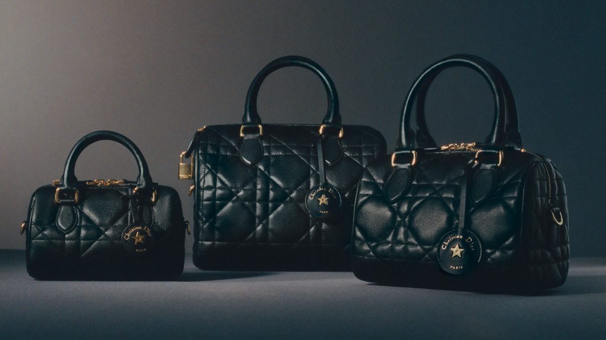 Представляем сумку Dior Groove Bag