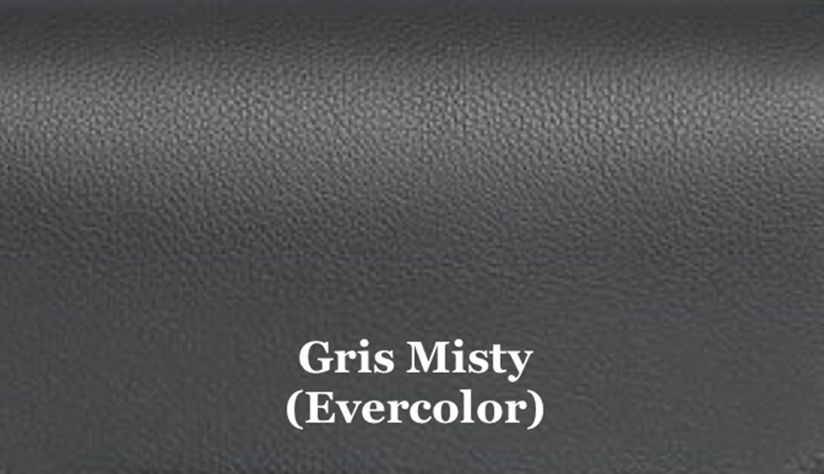 Образец Gris Misty в линейке Evercolor — новый цвет кожи для весенне-летней коллекции 2024 года (TNP).