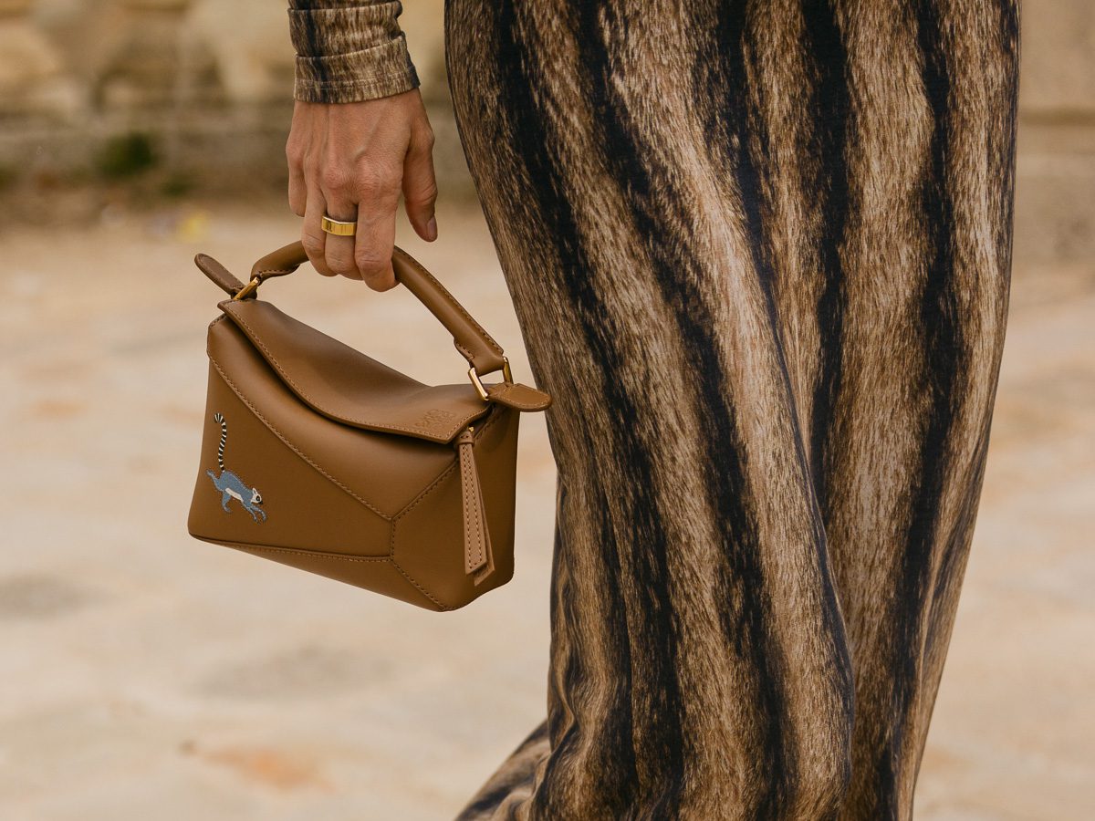Лучшие сумки Джонатана Андерсона для Loewe