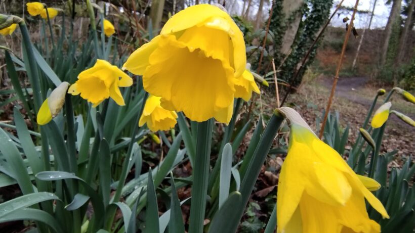 Обзор Motorola Edge 30 Neo — фото 6