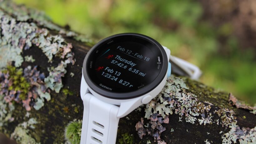 Garmin Forerunner 165: данные о наклоне на дереве